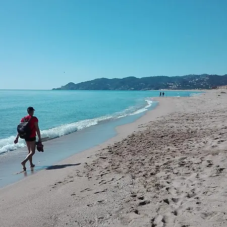 Casa Pinell Mar 111 Casa vacanze *